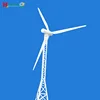 Hot sale! 30kw low RPM wind turbine PMG
