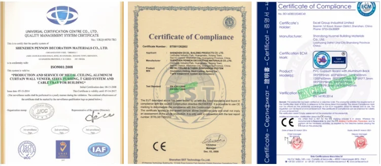 paste-pic-dp_uuid_cg769