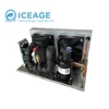 12/24/48v mini condensing unit for small cooling system
