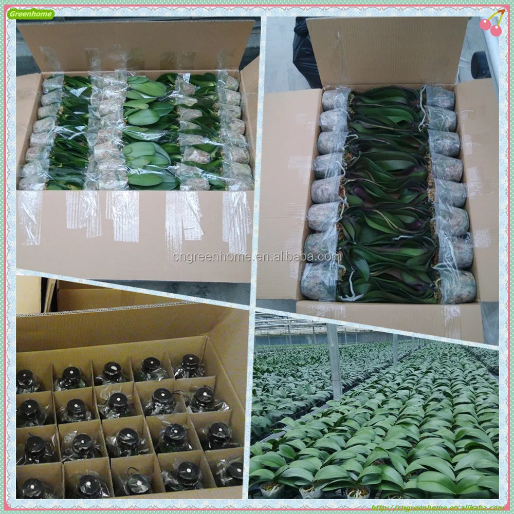 Flask and 2.5 3.5inch packing.jpg