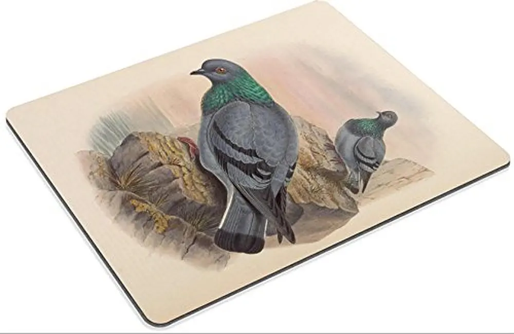 /"Rufous-breasted Spilornis/" John Gould Birds of Asia, 1883 — Fine Art Print