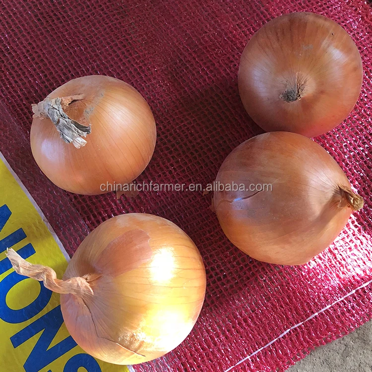 yellow onion