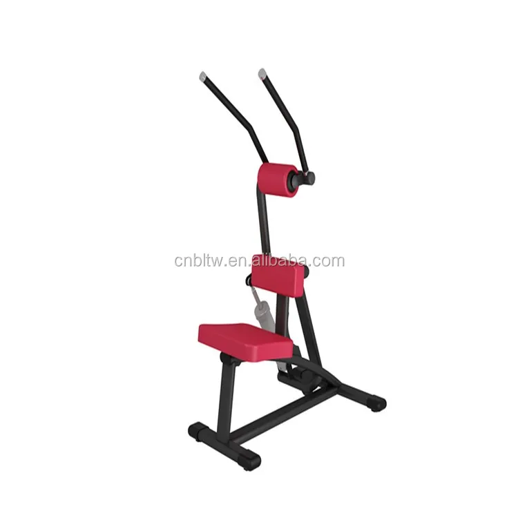 Brightway Hydraulic Circuit Training Equipment Th09 Lower Back For Sale