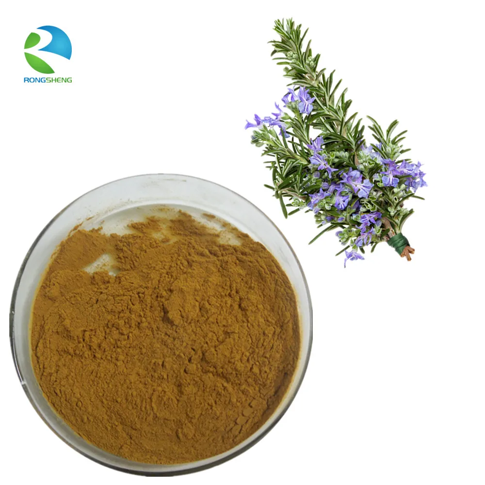 低价迷迭香叶提取物 carnosic 酸 10% 60% - buy 迷迭香提取物