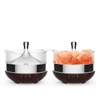 Chicoyo Wi-Fi Smart phone APP controlled Salt Mist Oil Diffuser compatible with Amazon Alexa Echo Voice and google home