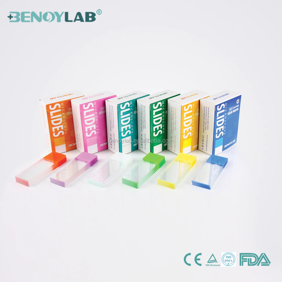 Benoylab Prepared Microscope Slides 7109 Color Frosted Slides Buy