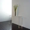 Custom Modern Clear Acrylic Lucite Perspex Console Table