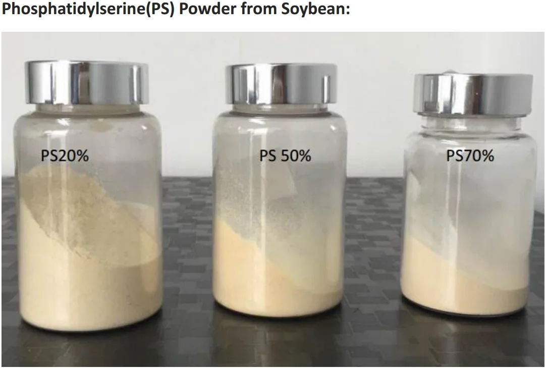 soybean.png