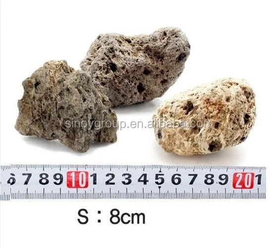 8cm about.jpg