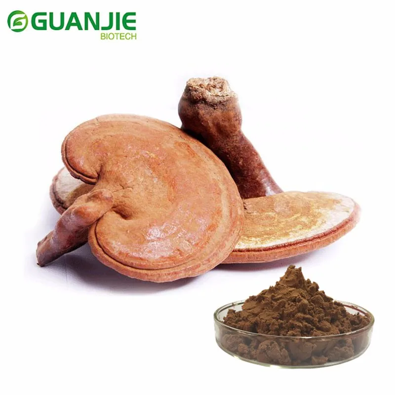 best quality reishi mushroom extract powder ganoderm