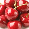 Wholesale sweet cherry with great quality