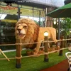 Super Scary 3D Waterproof Lion Model is on Sale