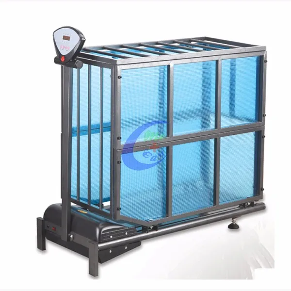 Cheapest Cat Hydrotherapy Dog Treadmill Underwater Treadmill Buy