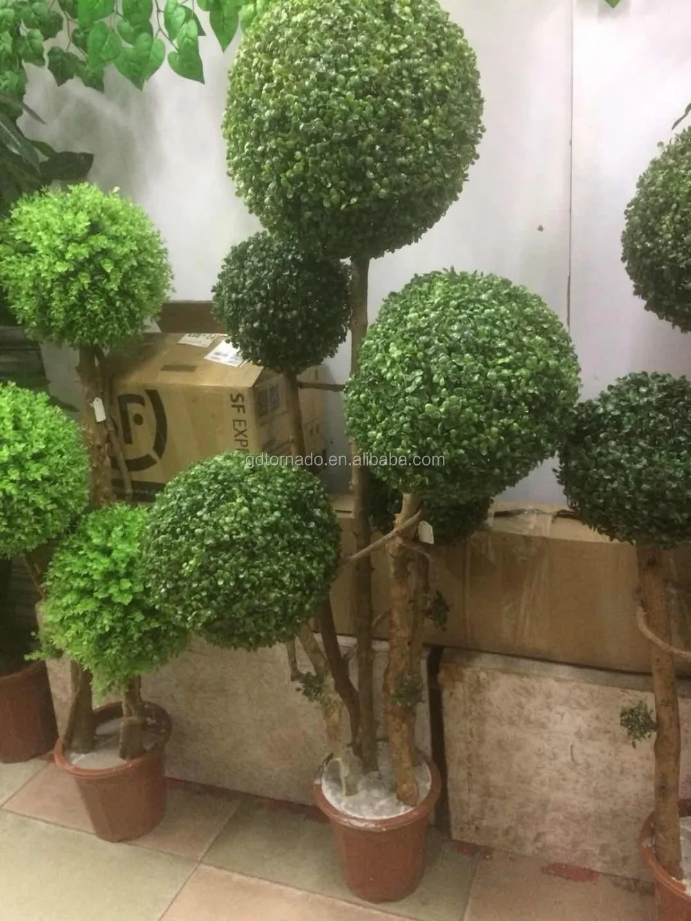Three Boxwood Artificial Natrualtrunk Topiary Spiral Boxwood Hedge