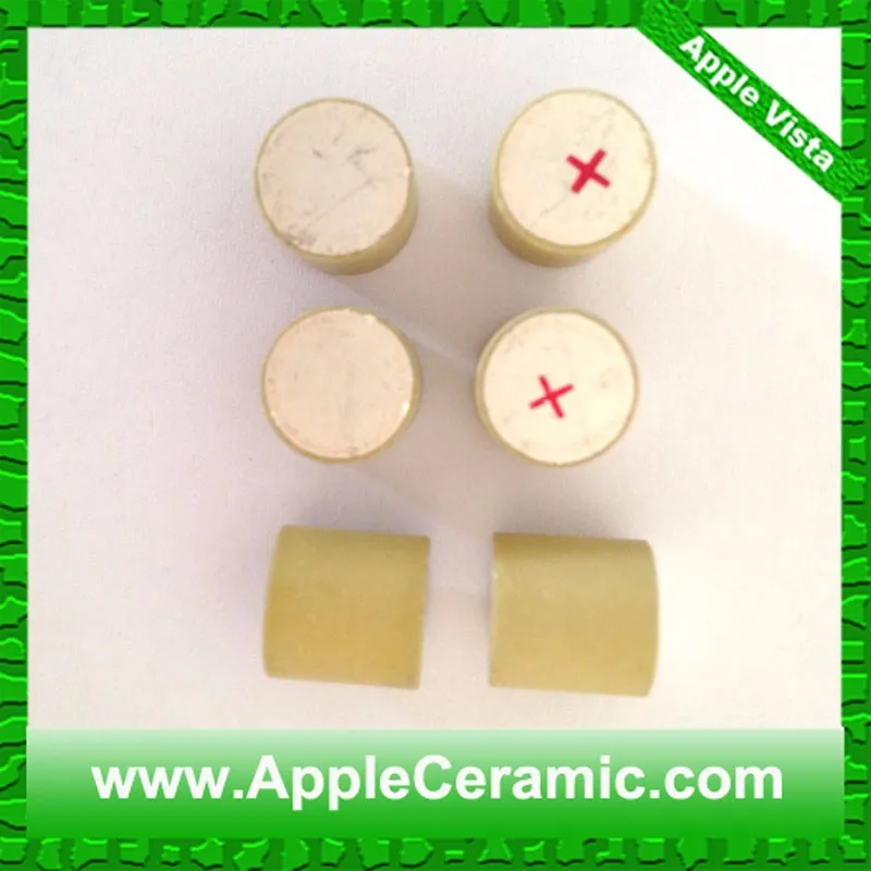 10x10 piezo element (4)