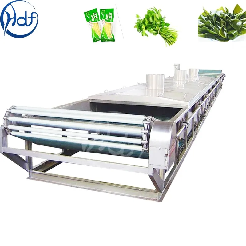 Industrial Automatic Vegetable And Fruit Blanch Potato Almond Peanut