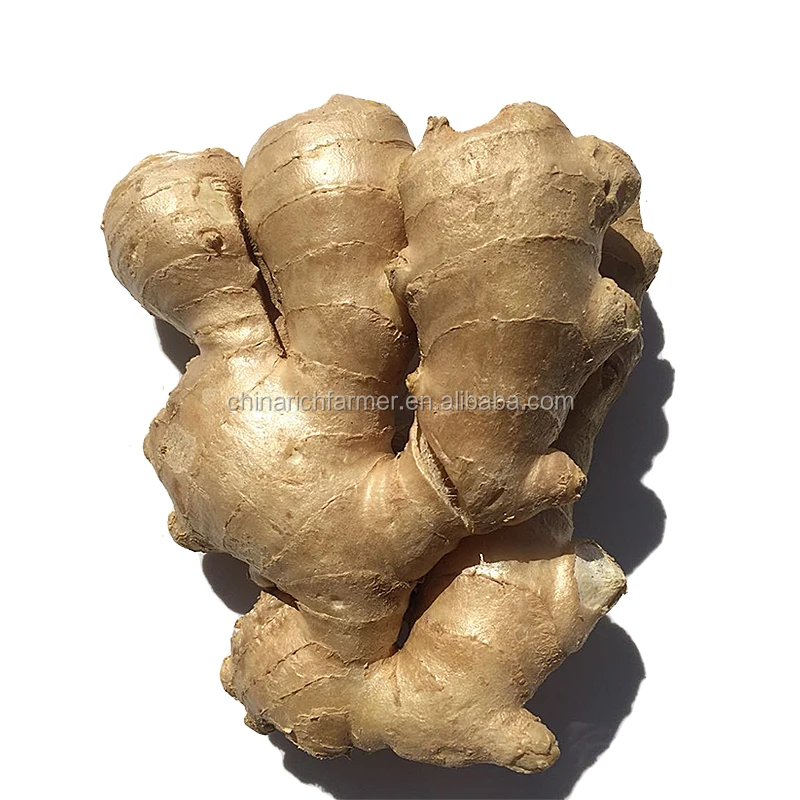 250g Bulk Air Dry Ginger Price