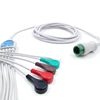 Reliable supplier 12 pin one-piece 5 leads mindray snap ecg cable