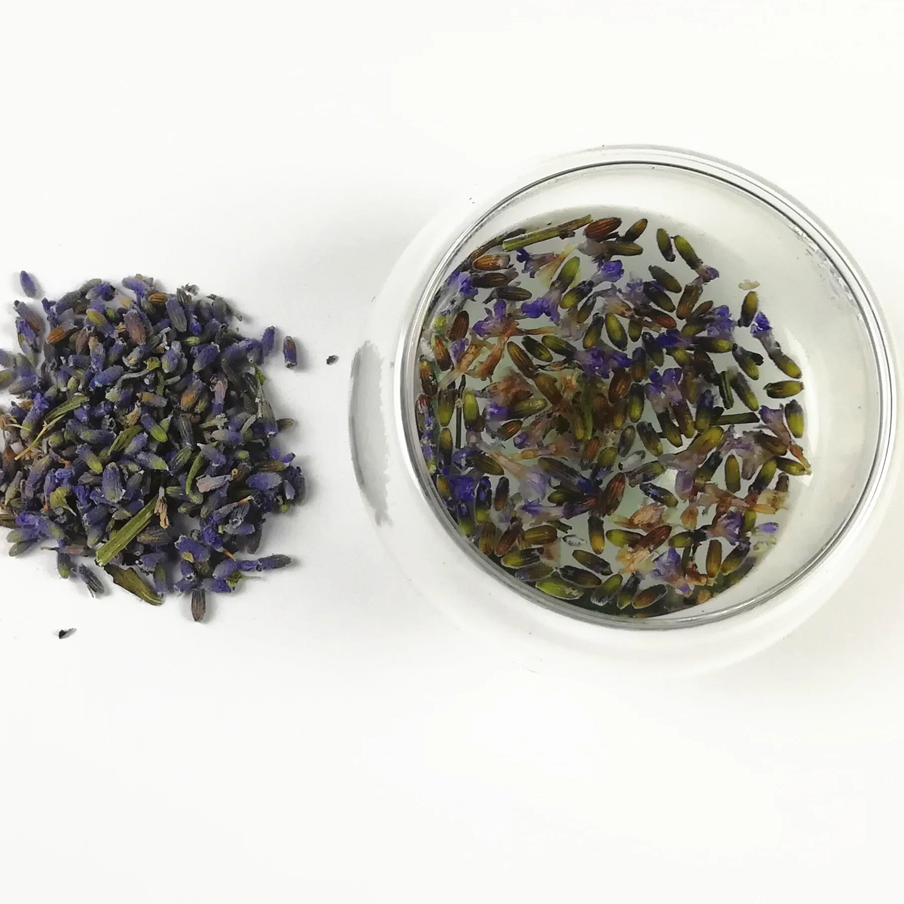 批发优质中国花茶干薰衣草茶 Buy Natural Dried Lavender Dried Lavender Tea High Quality Dried Lavender Tea Product On Alibaba Com