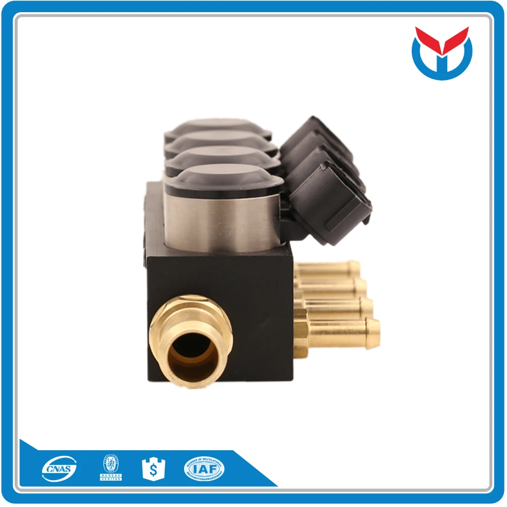 cng lpg injector (19)