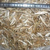 Quality Grade A Dried Stock Fish , Whole Body Freshwater Air Dried Fish