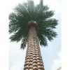 Event &party supplier fake coconut trees 3m 4m 5m 6m high be customized Artificial coconut trees ,artificial coconut palm tree