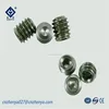 Stainless Steel Allen Head Socket Hex Set Grub Screw Assortment Cup Point