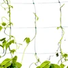 Trellis Netting Plant Support Net for Climbing Plants Fruits Vine Veggie Flowers