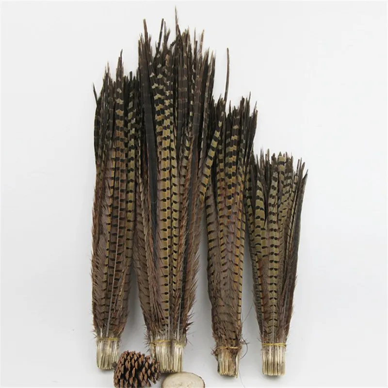 Pheasant Tail Feathers For Decorative Vases View Pheasant Tail