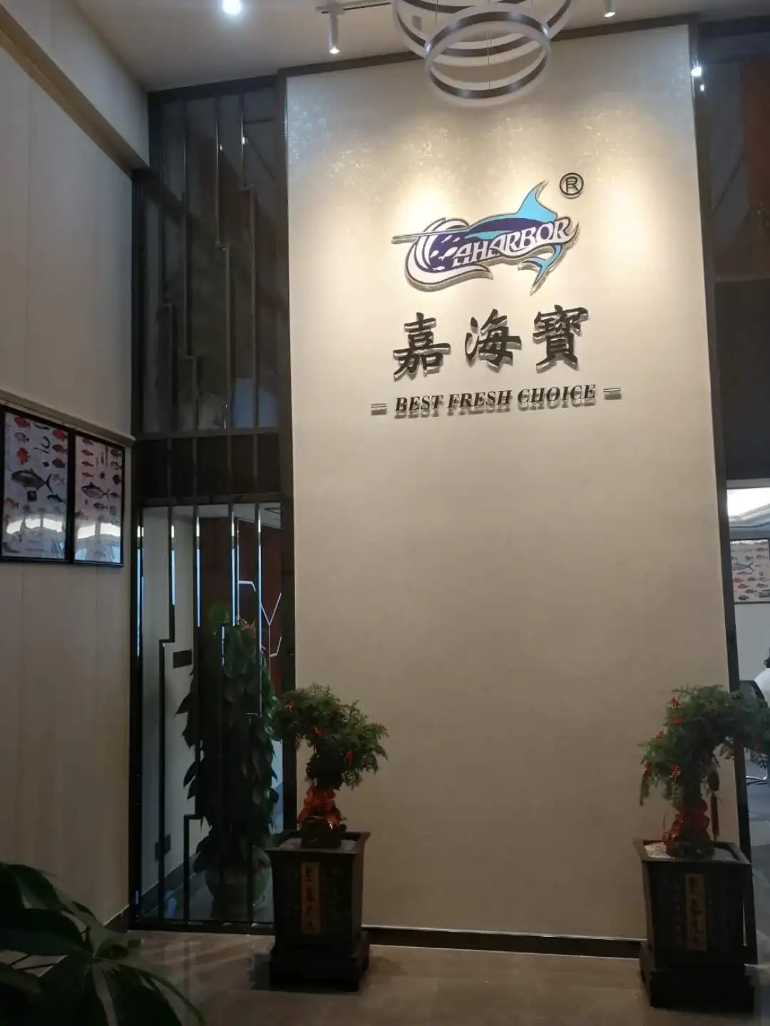 logo.jpg
