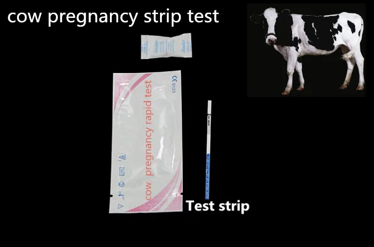 One Step Animal Rapid Pig Pregnancy Urine Test Kit Buy Heifer Hcg