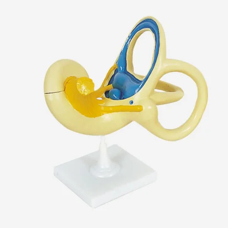 QQ20190509111531.png