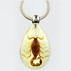 Promotion Gift Real Insect Key Chains Glow In The Dark Acrylic Key Chains Factory