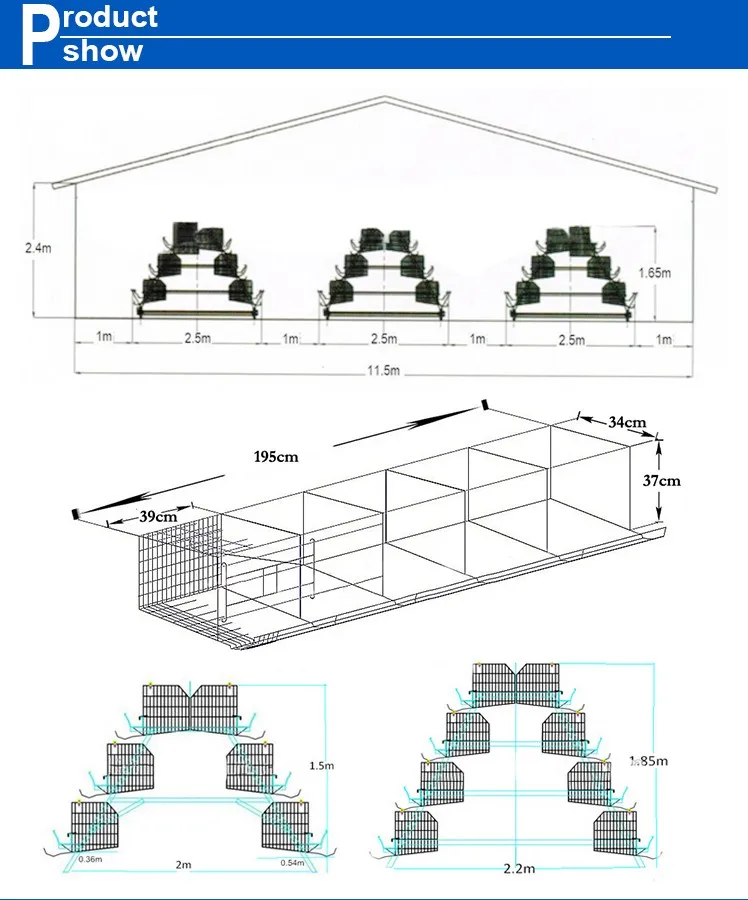  Cage For Sale In Philippines,Automatic Chicken Layer Cage For Sale In