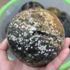 Natural colored crystal via.agate sphere Real Ocean Jasper sphere for wholesale