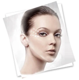 handpiece.jpg do filtro da mudan&ccedil;a do ipl de alta qualidade