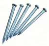 Galvanized Concrete Nail for Construction