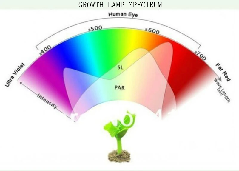 Спектр ламп для растений. Спектр светодиодной лампы 6500к. Спектры света для растений. Спектр освещения для растений. Диапазон света для растений.