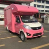 custom size/ color commercial mobile food truck food van