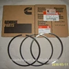 China Cummins Engine 4BT 6BT Parts Piston Ring Set 4955251