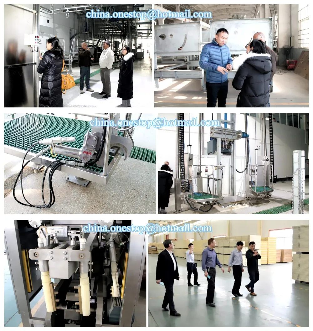 Mobile Abattoir Cattle Slaughter Equipment Turnkey Project for Cow