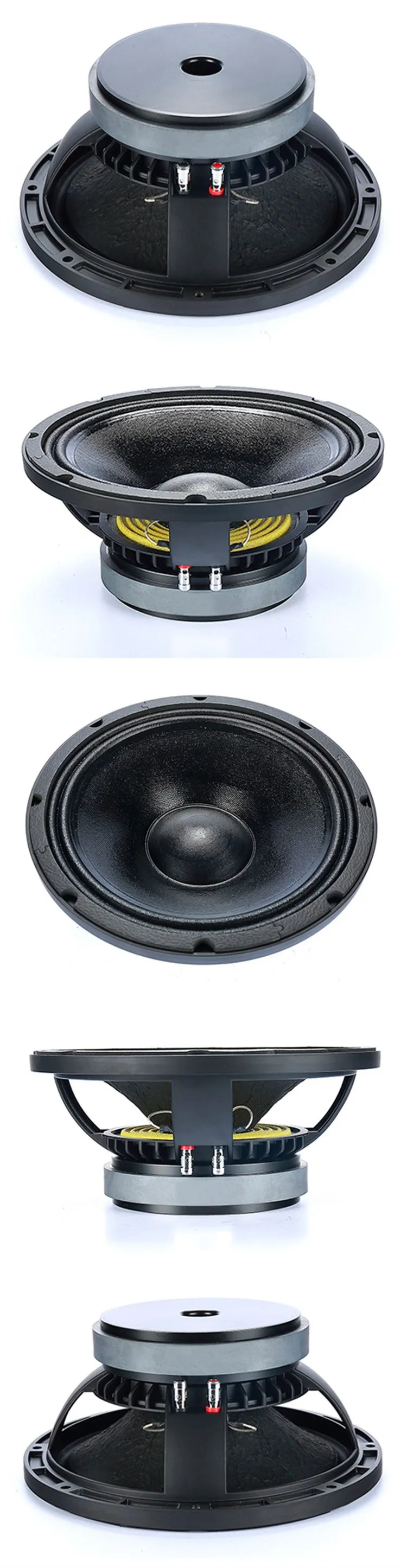 speaker low 10 inch