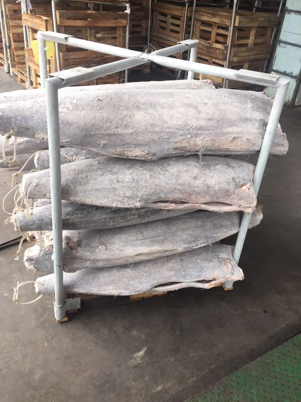 seafrozen black marlin hgt/dwt for sale