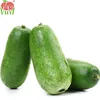 Winter melon/Traditional export commodities