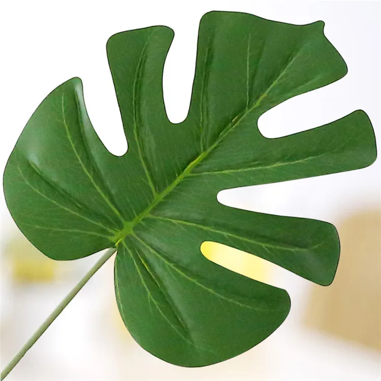 monstera (13).jpg