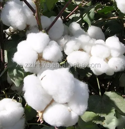 new design farm use cotton picking machine/cotton picker