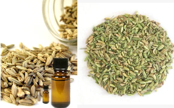 usp grade essential oil sweet fennel seed extract foeniculum oil