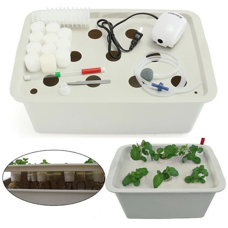 Amazon Com Home Hydroponics Kit