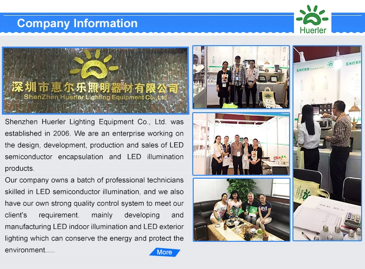 company information.jpg