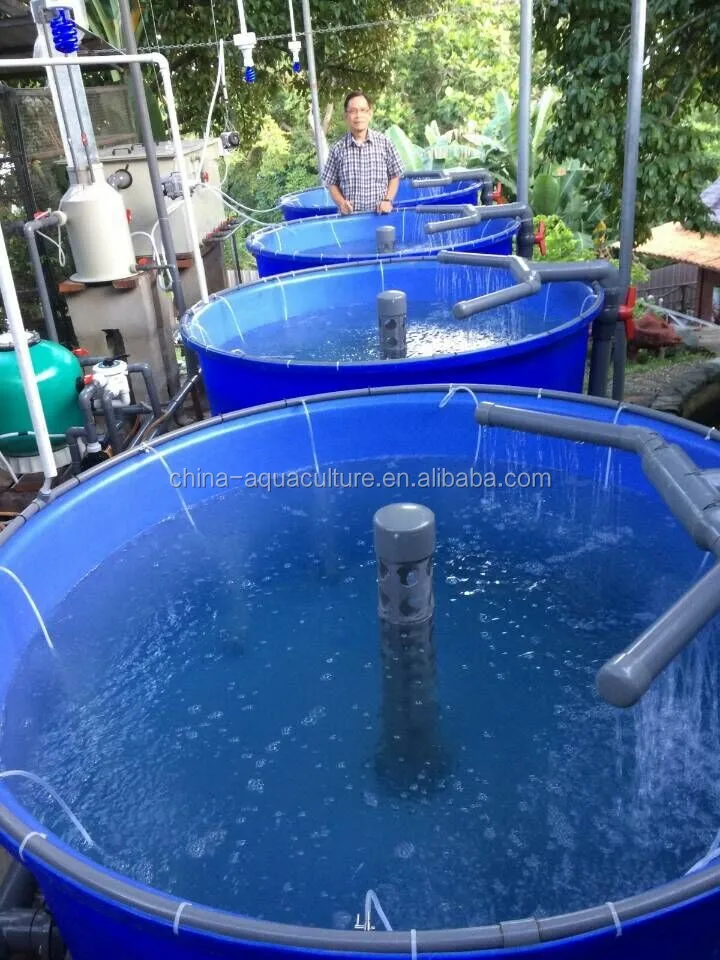 indoor ras recirculating aquaculture system, view